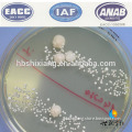 Feed Grade Additive Lactic Acid Bacteria